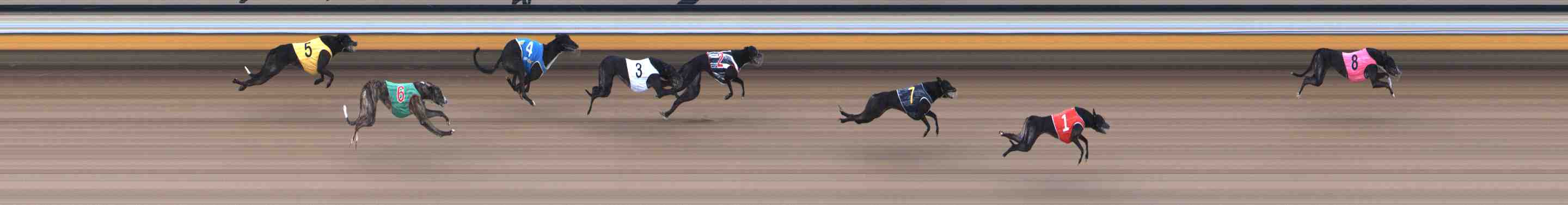 Photo finish for Warrnambool Race 7