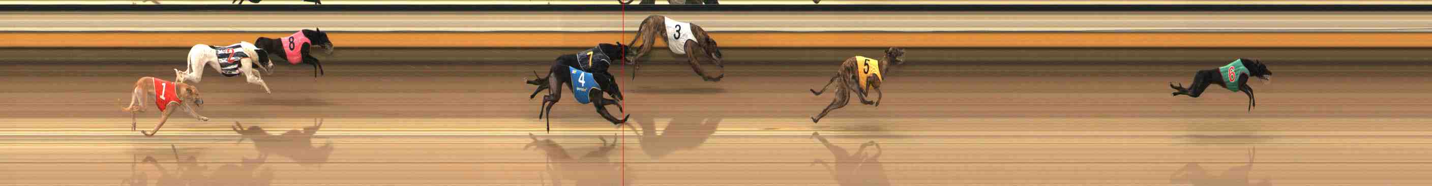 Photo finish for Warrnambool Race 8