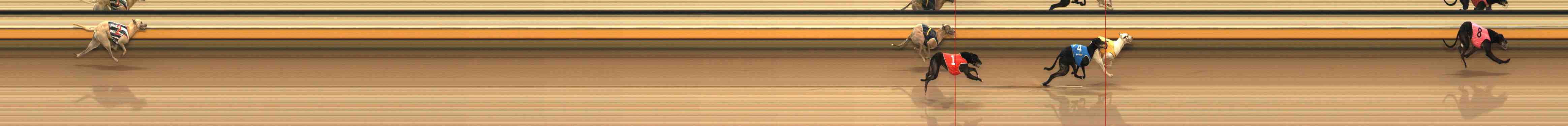 Photo finish for Warrnambool Race 9