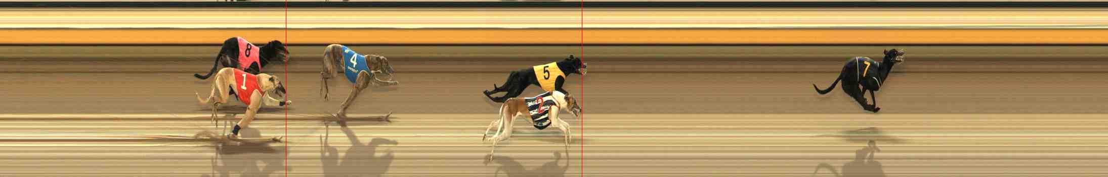 Photo finish for Warrnambool Race 10