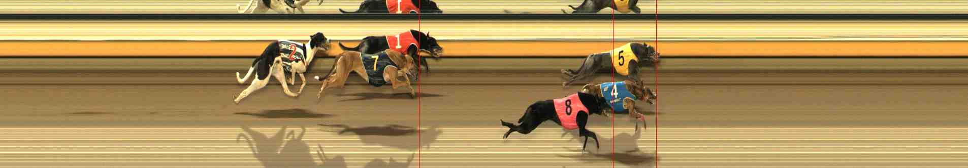 Photo finish for Warrnambool Race 11