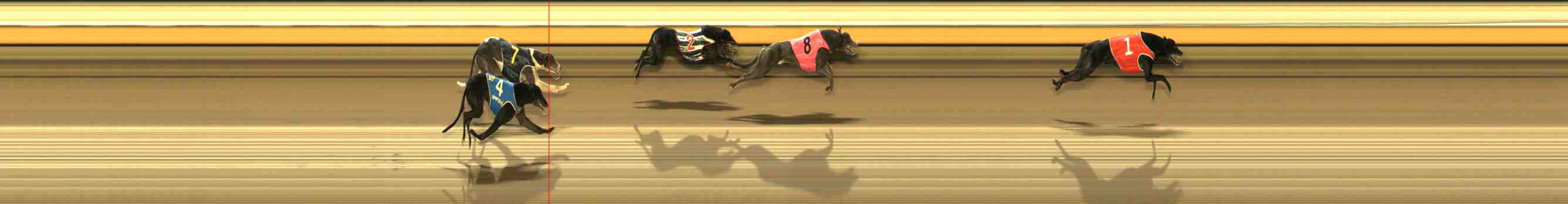 Photo finish for Warrnambool Race 12