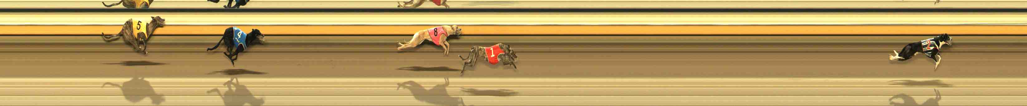 Photo finish for Warrnambool Race 13