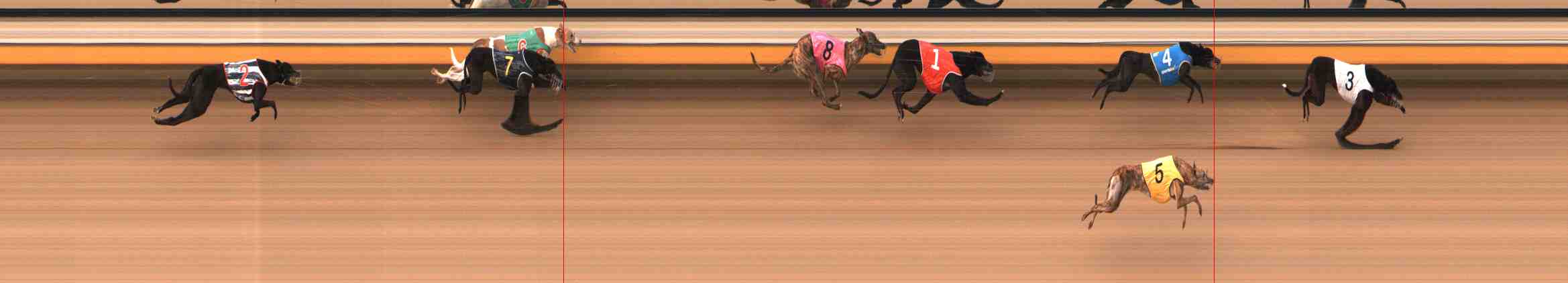 Race result finish photo