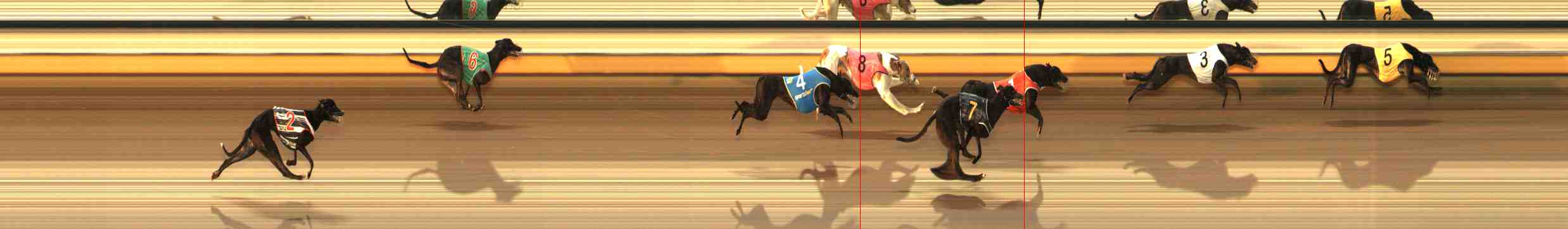 Photo finish for Warrnambool Race 2