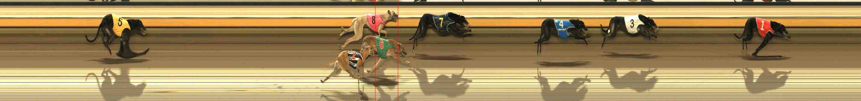Photo finish for Warrnambool Race 3