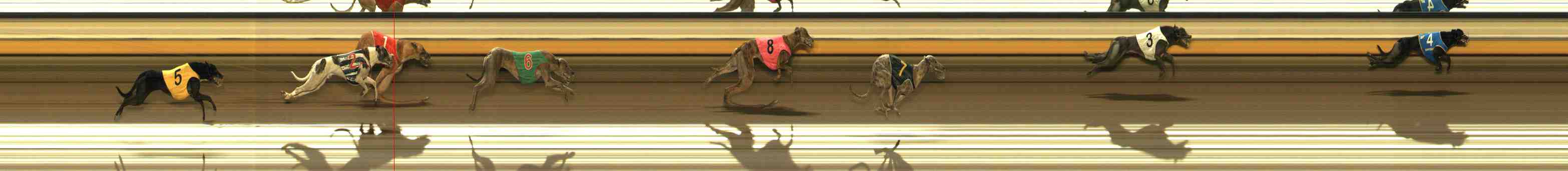 Photo finish for Warrnambool Race 4