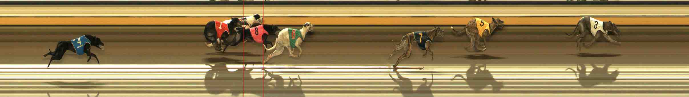 Photo finish for Warrnambool Race 5