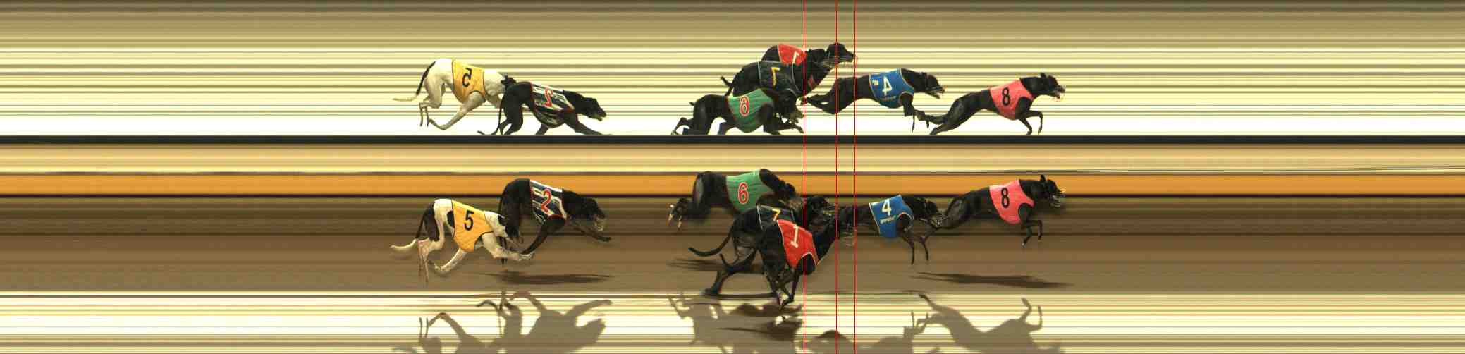 Photo finish for Warrnambool Race 6