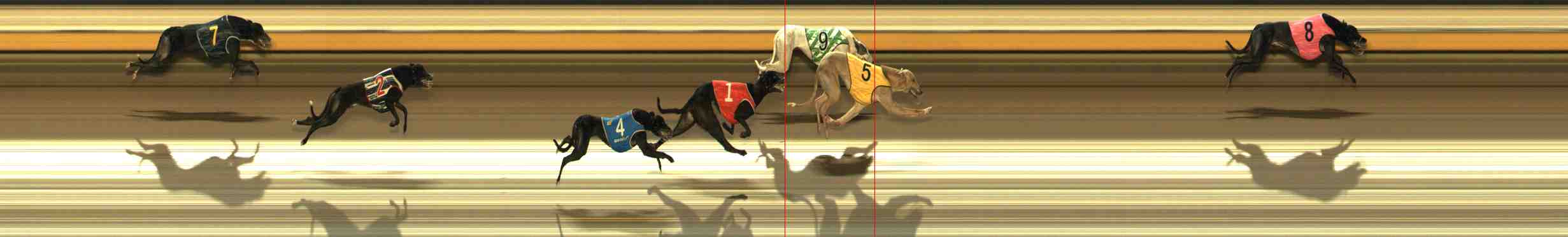 Photo finish for Warrnambool Race 7