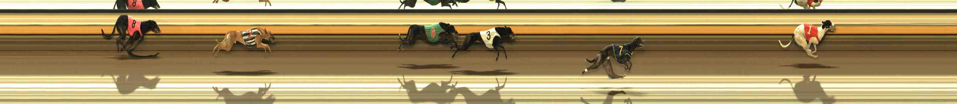 Photo finish for Warrnambool Race 8