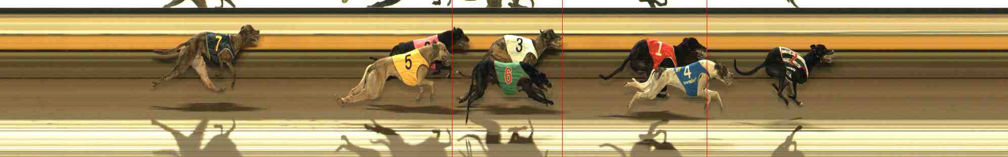 Photo finish for Warrnambool Race 9