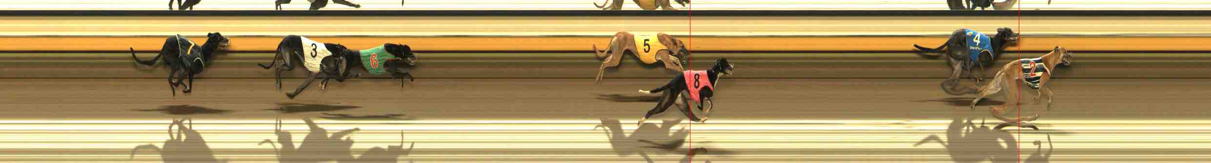 Photo finish for Warrnambool Race 11