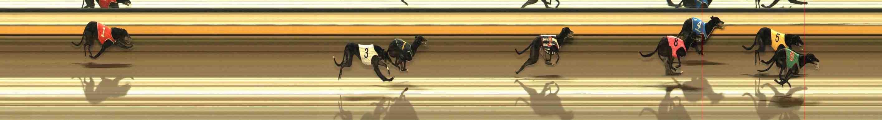 Photo finish for Warrnambool Race 12
