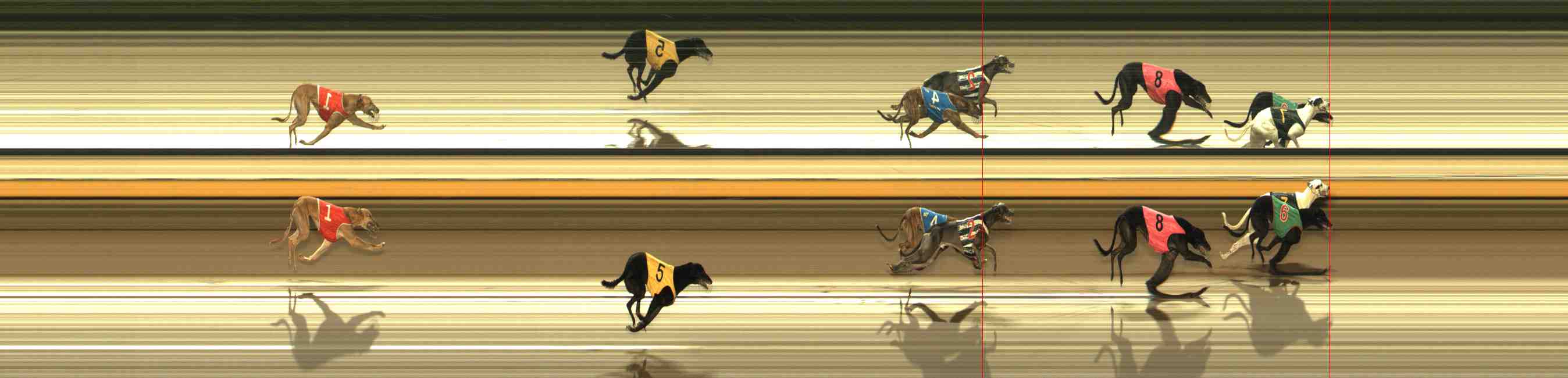 Photo finish for Warrnambool Race 13