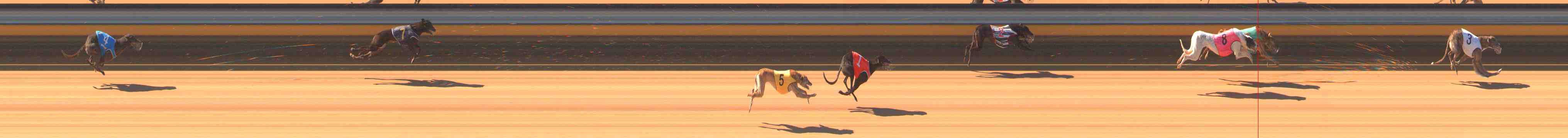 Photo finish for Warrnambool Race 1
