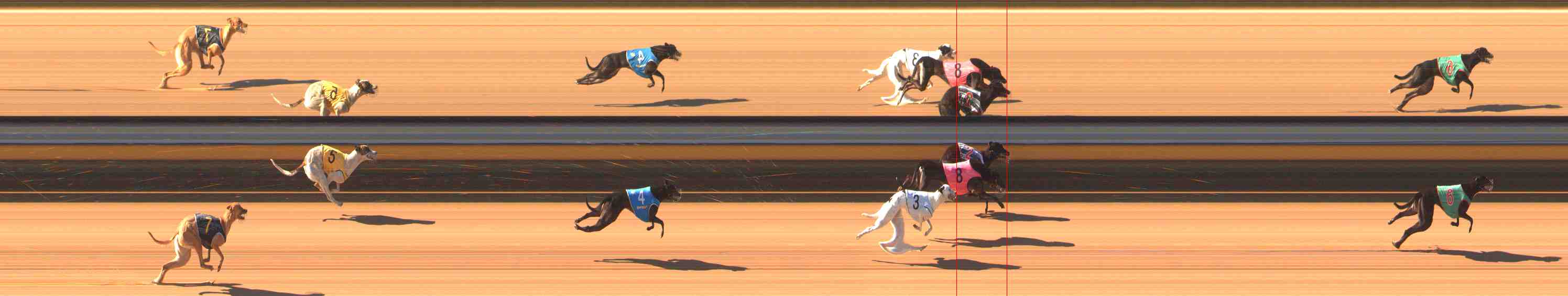 Photo finish for Warrnambool Race 2