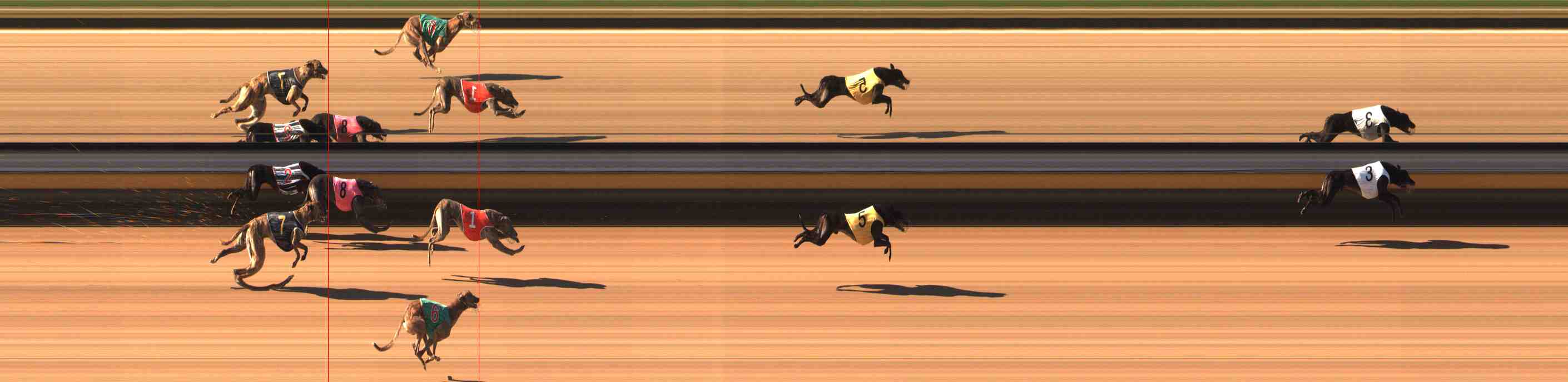 Photo finish for Warrnambool Race 4