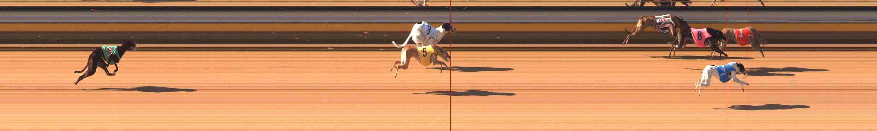 Photo finish for Warrnambool Race 5