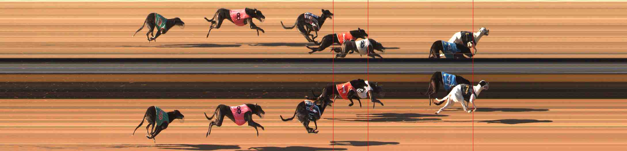 Photo finish for Warrnambool Race 6