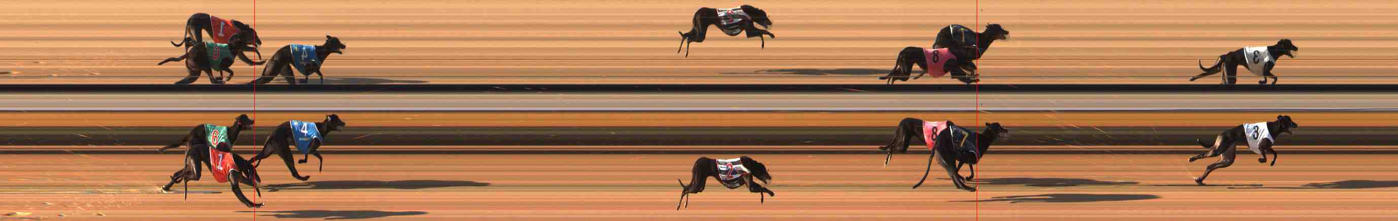 Photo finish for Warrnambool Race 7