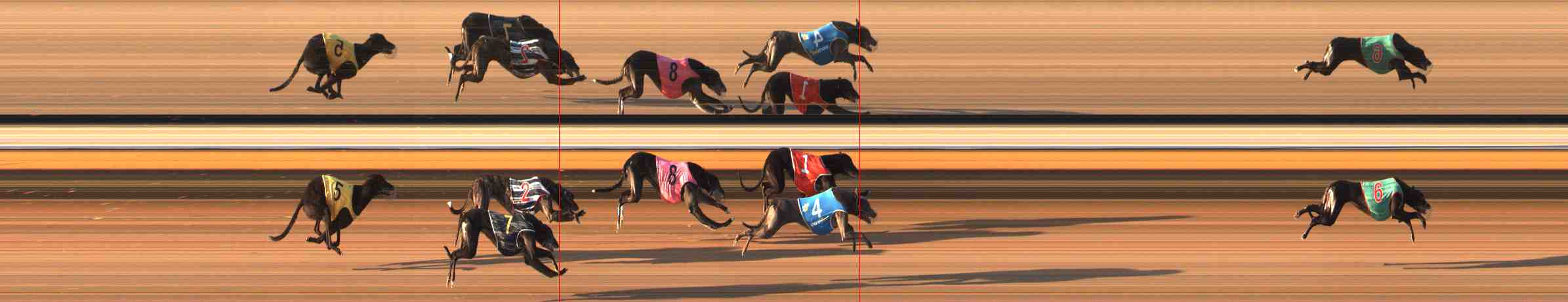 Photo finish for Warrnambool Race 8