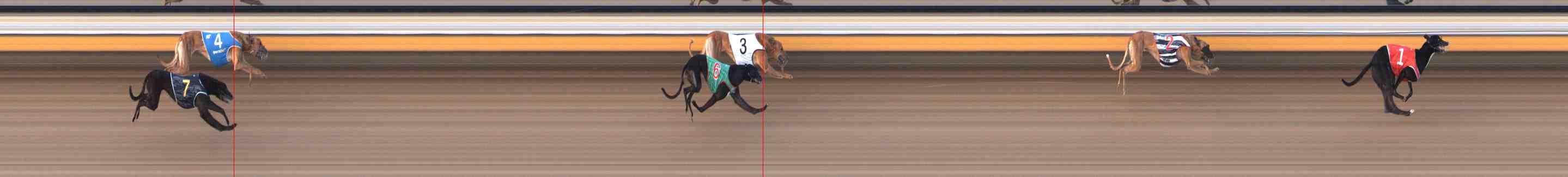 Photo finish for Warrnambool Race 9