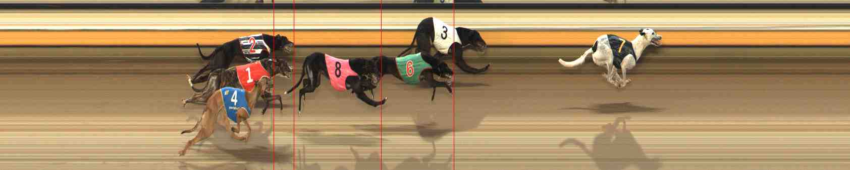 Photo finish for Warrnambool Race 10