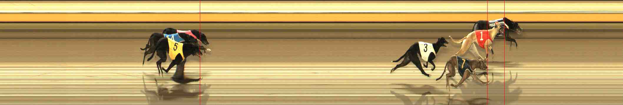 Photo finish for Warrnambool Race 11