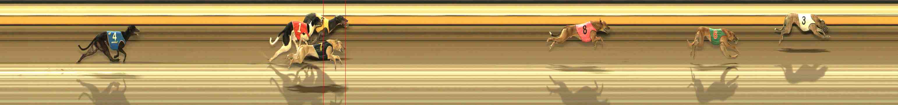 Photo finish for Warrnambool Race 12