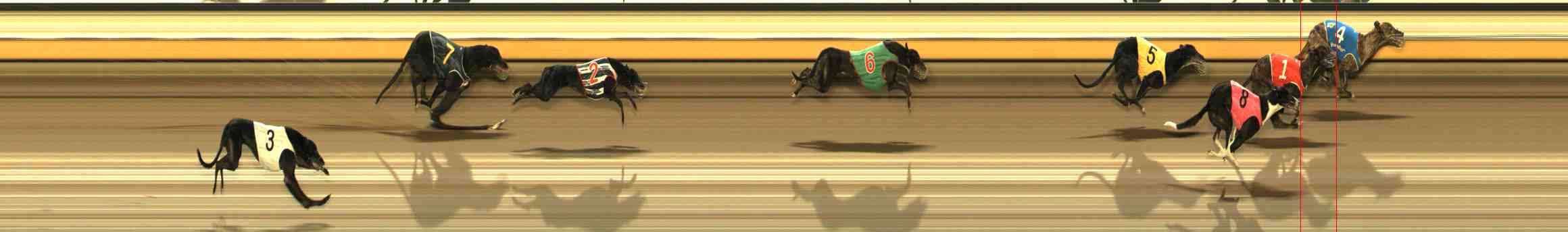 Photo finish for Warrnambool Race 13