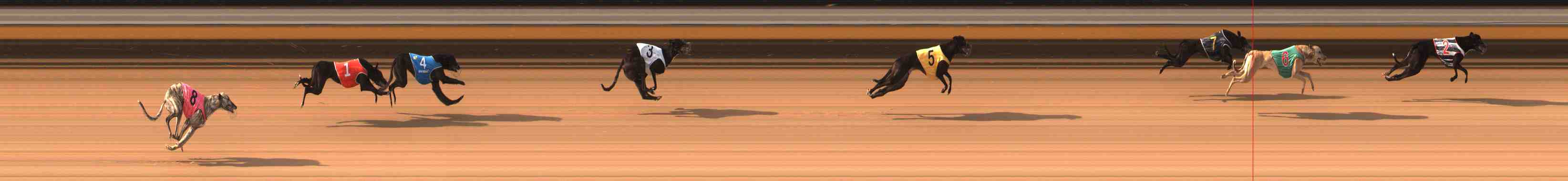 Photo finish for Warrnambool Race 1