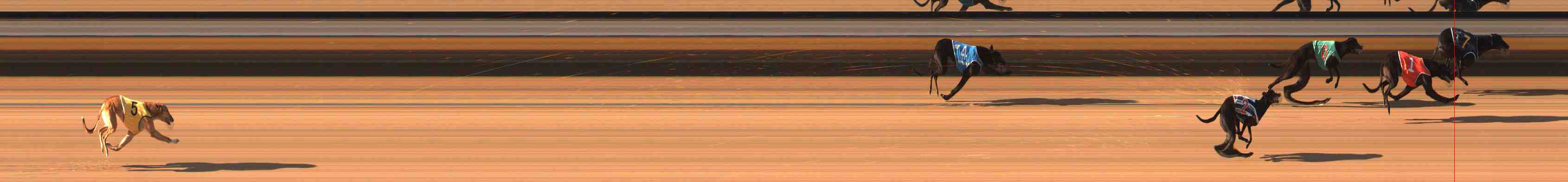 Photo finish for Warrnambool Race 2