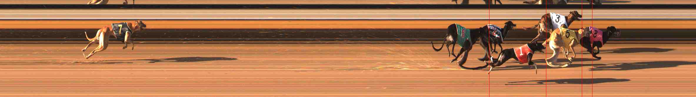 Photo finish for Warrnambool Race 3