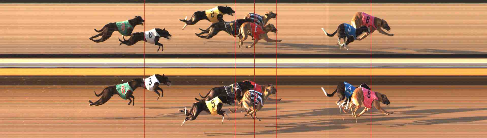 Photo finish for Warrnambool Race 4