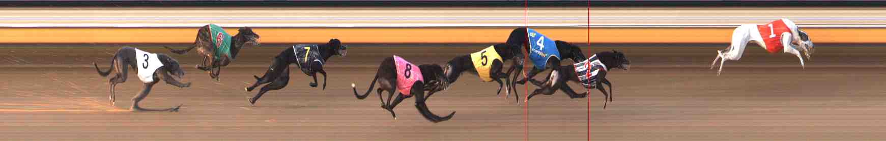 Photo finish for Warrnambool Race 5