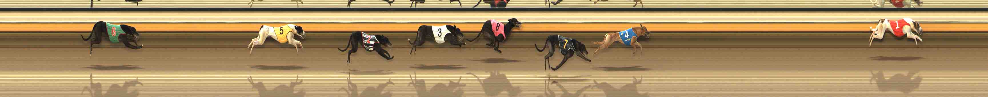 Photo finish for Warrnambool Race 6