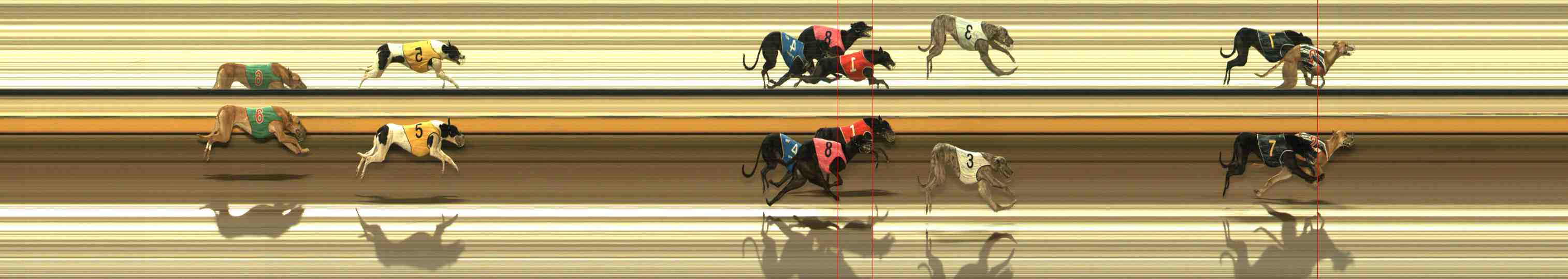 Photo finish for Warrnambool Race 7