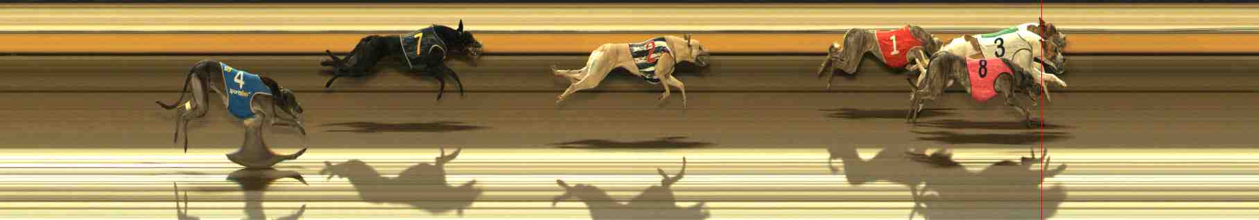 Photo finish for Warrnambool Race 8