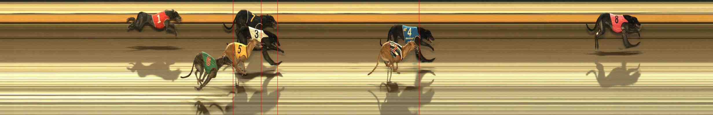 Photo finish for Warrnambool Race 9