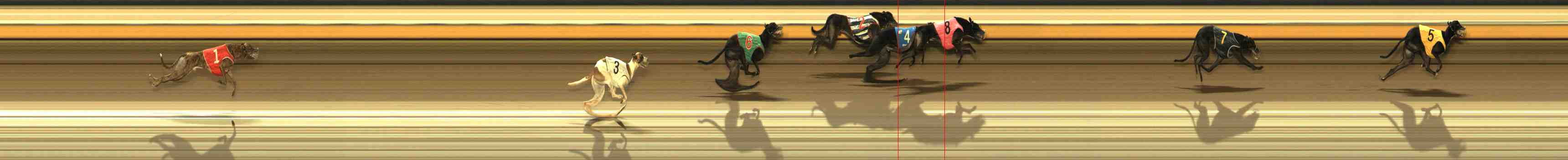 Photo finish for Warrnambool Race 10
