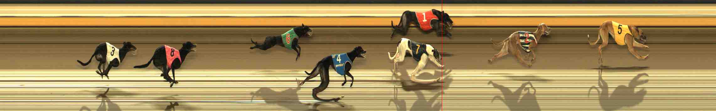 Photo finish for Warrnambool Race 11