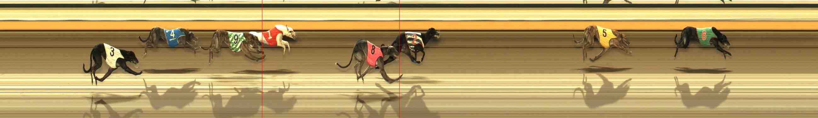 Photo finish for Warrnambool Race 12