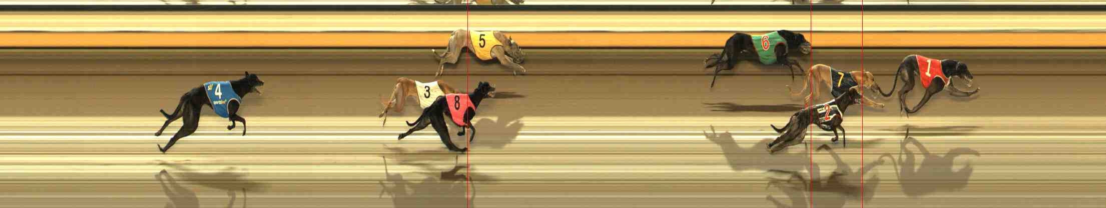 Photo finish for Warrnambool Race 13