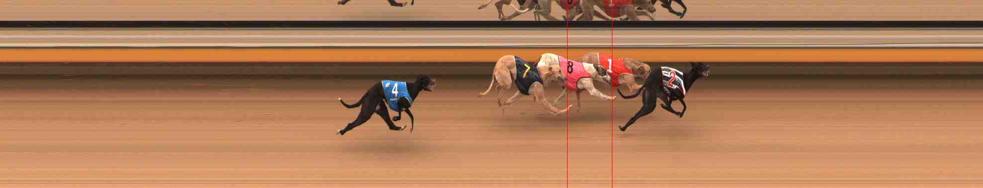 Photo finish for Warrnambool Race 1