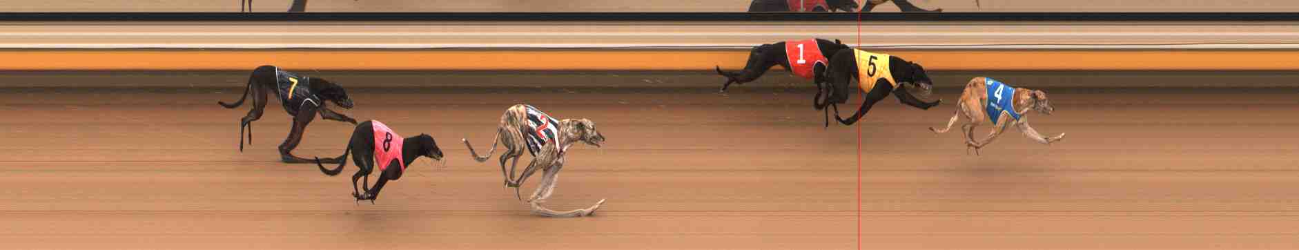 Photo finish for Warrnambool Race 2