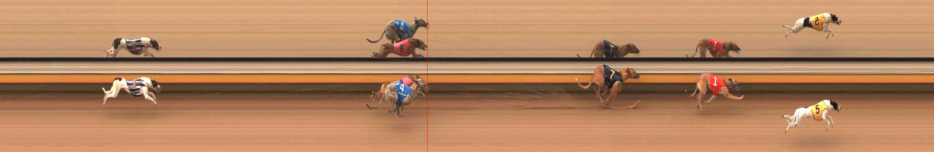 Photo finish for Warrnambool Race 3