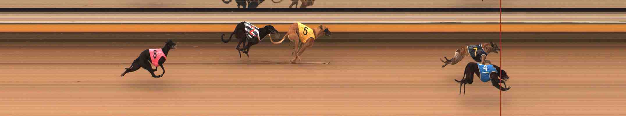 Photo finish for Warrnambool Race 4