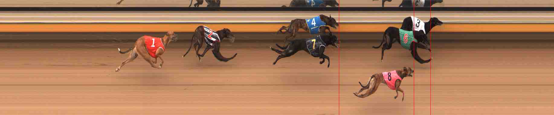 Photo finish for Warrnambool Race 5