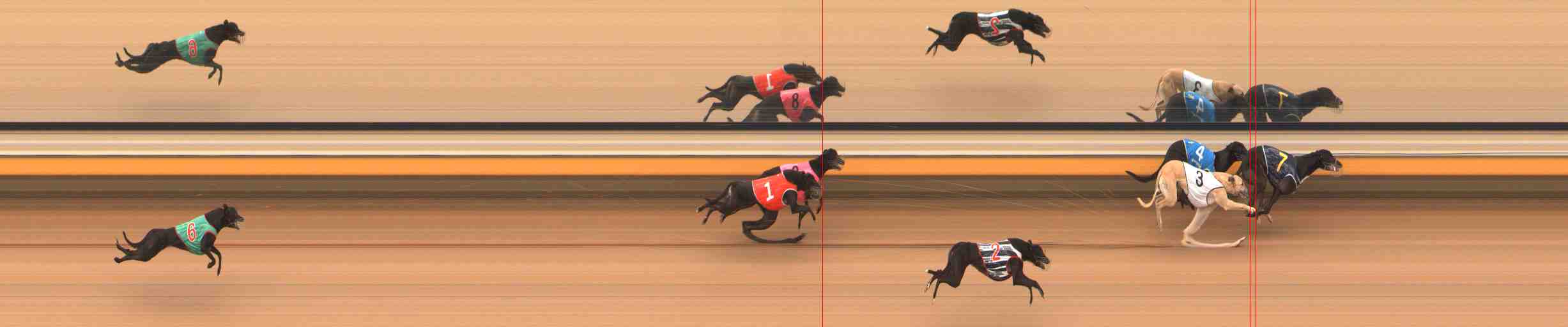 Photo finish for Warrnambool Race 6